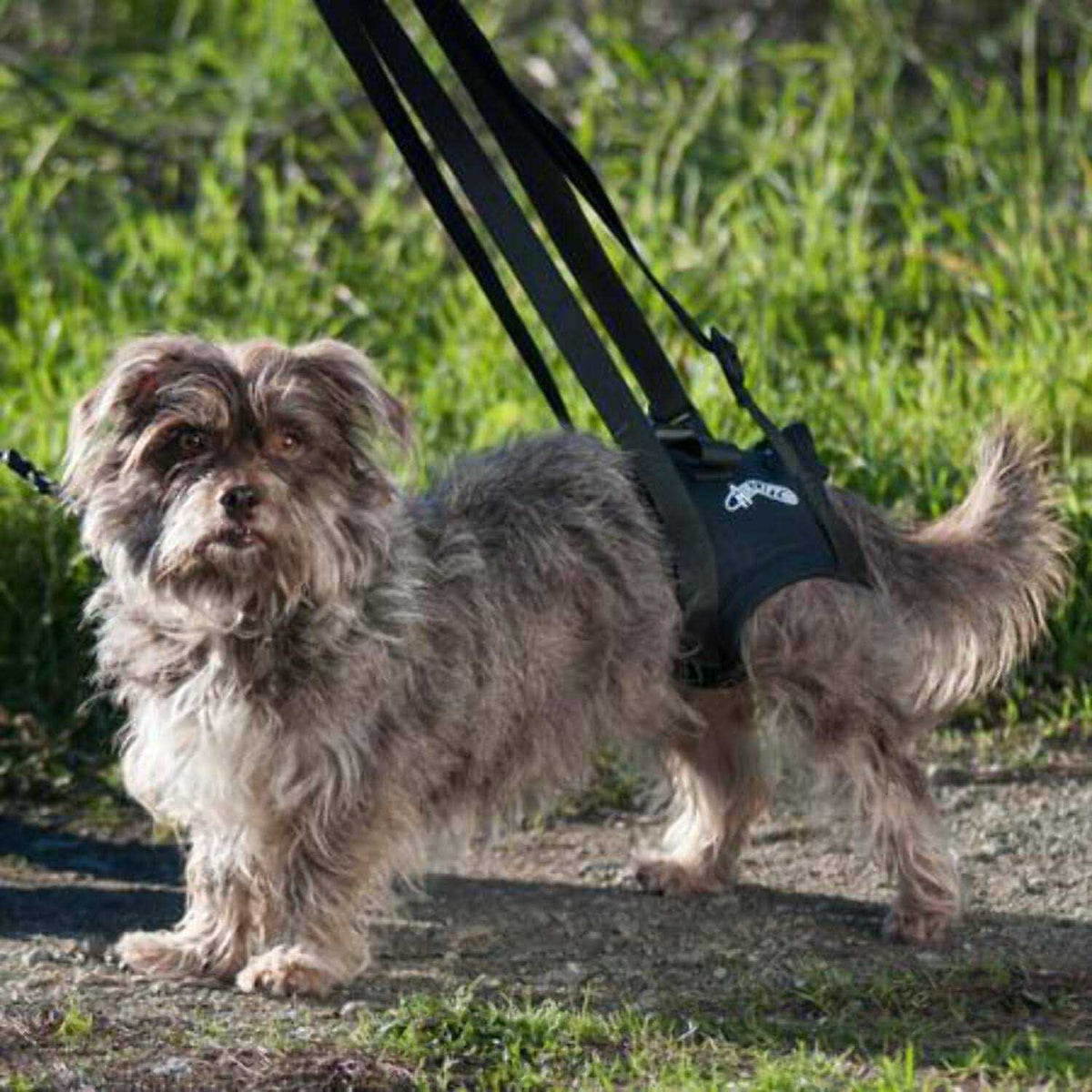 Support Harness N5453