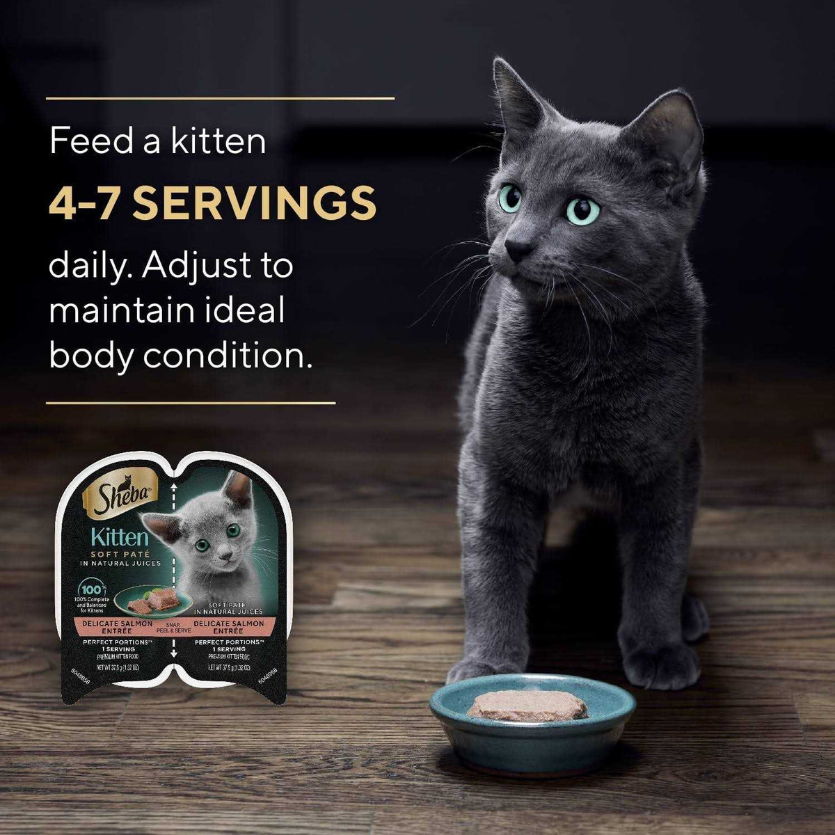 Wet Kitten Food Pate X46107