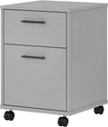 2 Drawer Mobile File Cabinet, Cape Cod Gray C342344