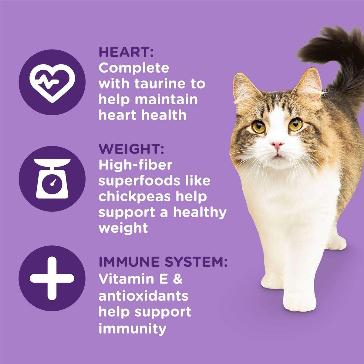 Dry Cat Food T496043