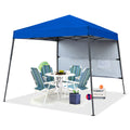 10ft x 10ft Pop Up Canopy Tent with Sidewall Q602123