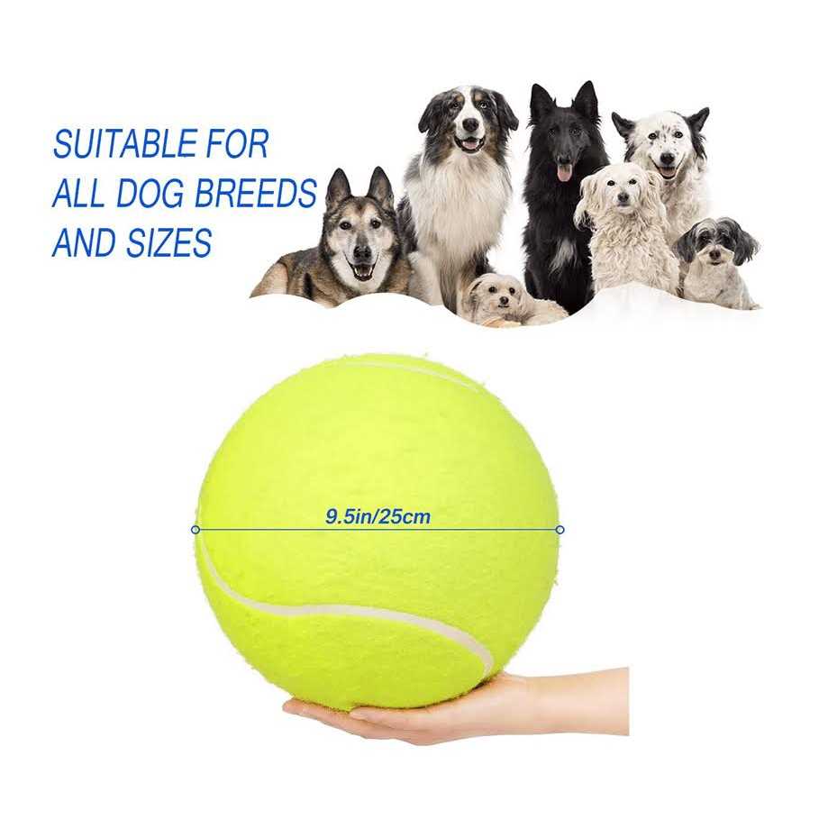 Dog Tennis Ball Pet Toys O700960
