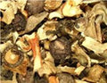 Mixed Mushroom 1 lb F7112