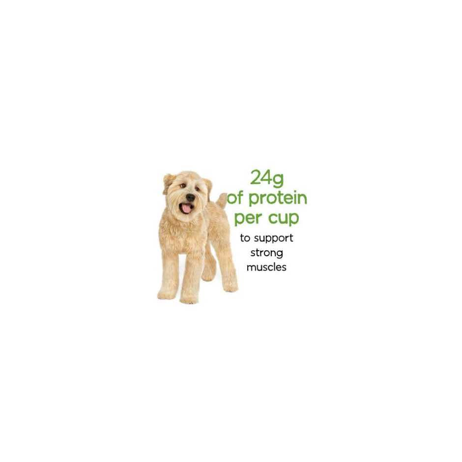 Healthy Weight Dry Dog Food with Chicken N895312