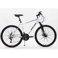 Purple 21-Speed 26 Inch Mountain Bike R194745