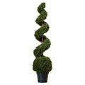 Cedar Spiral Tree with Ball in Green Pot B208