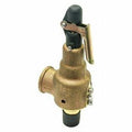 Safety Relief Valve, 3/4In. X 1in., 75 PSI R710607