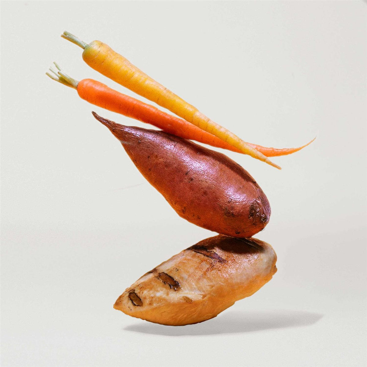 Sweet Potato & Carrot Dry Dog Food Z228