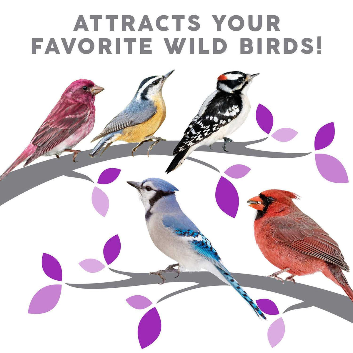 Wild Bird Food I35155