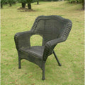 Camelback Resin Wicker Patio Chairs (Set of 2) V3002