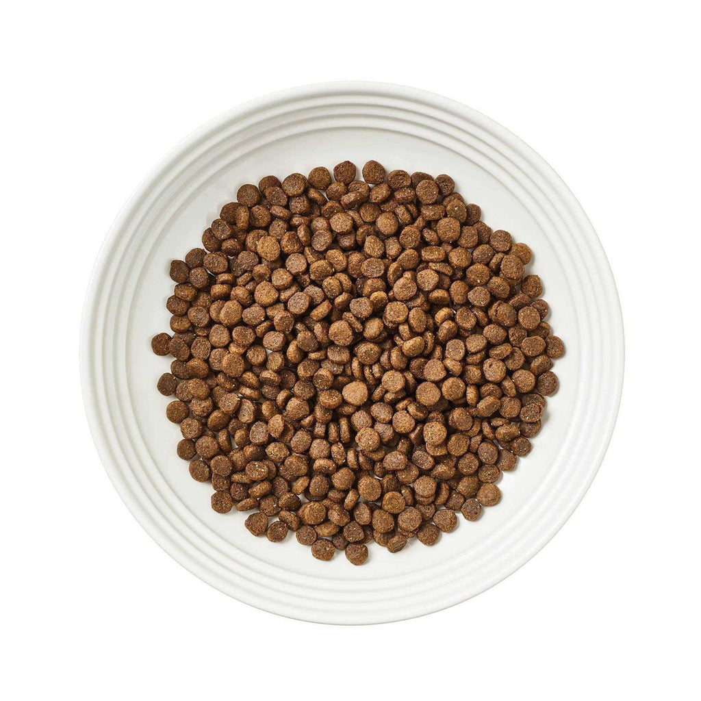 Grain-Free Chicken Dry Cat Food V24301