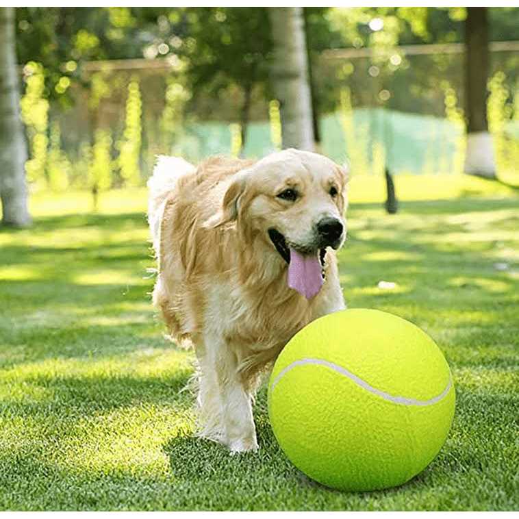 Dog Tennis Ball Pet Toys O700960
