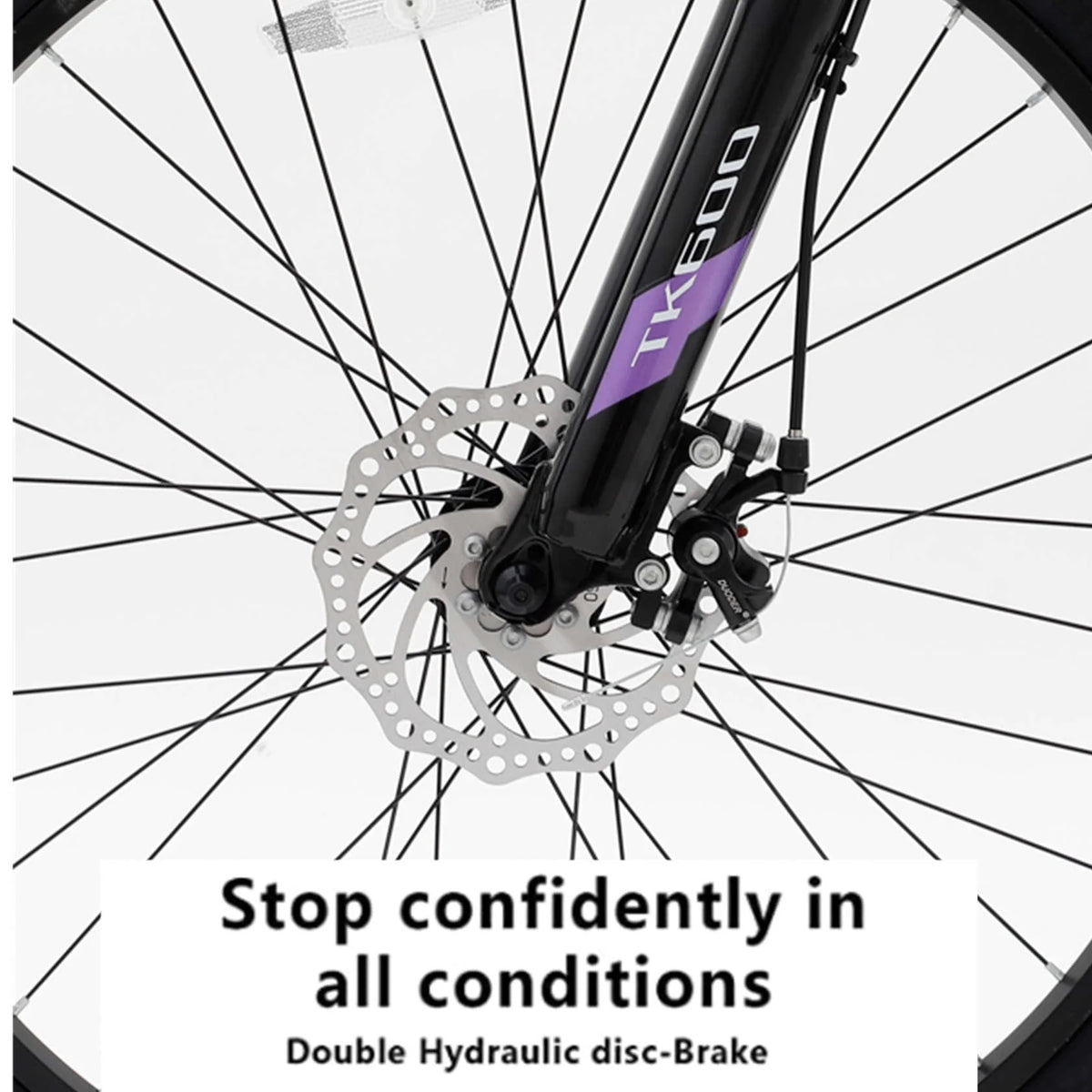 Purple 21-Speed 26 Inch Mountain Bike R194745